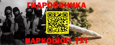 крисы Ярославль